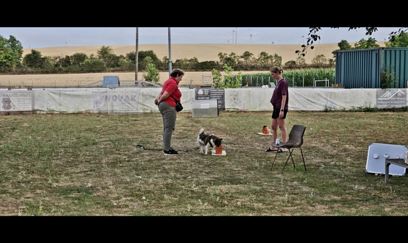 Workshop Scent Detection (ausgebucht)